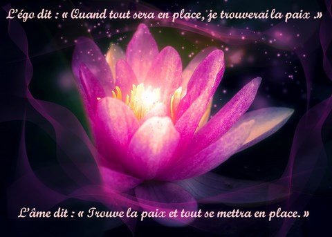 Lotus univers de gaia